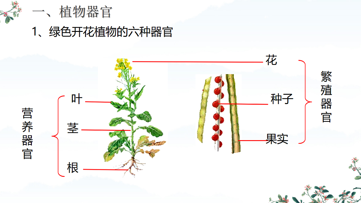 17561407第8页
