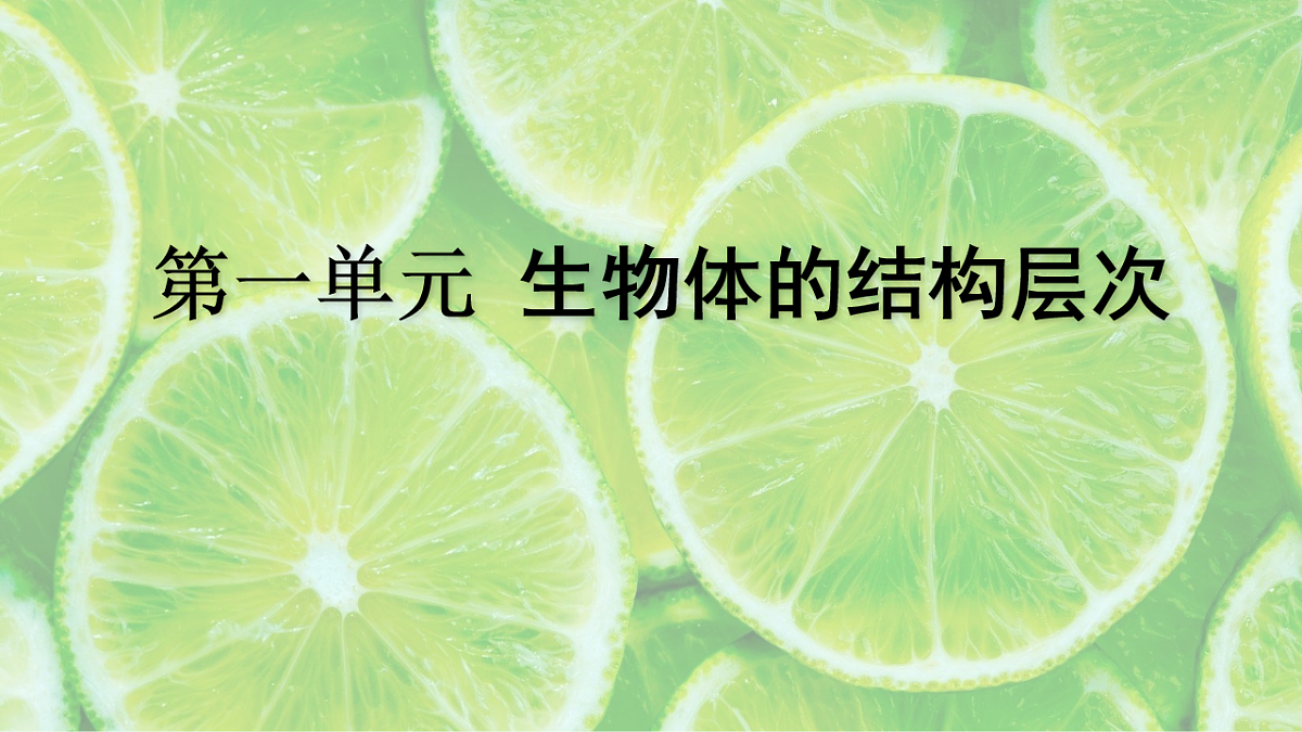 17561440第1页