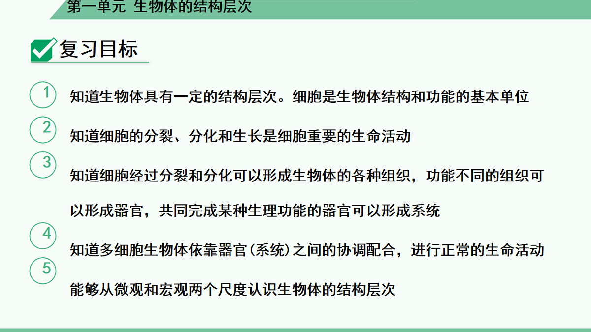 17561440第5页