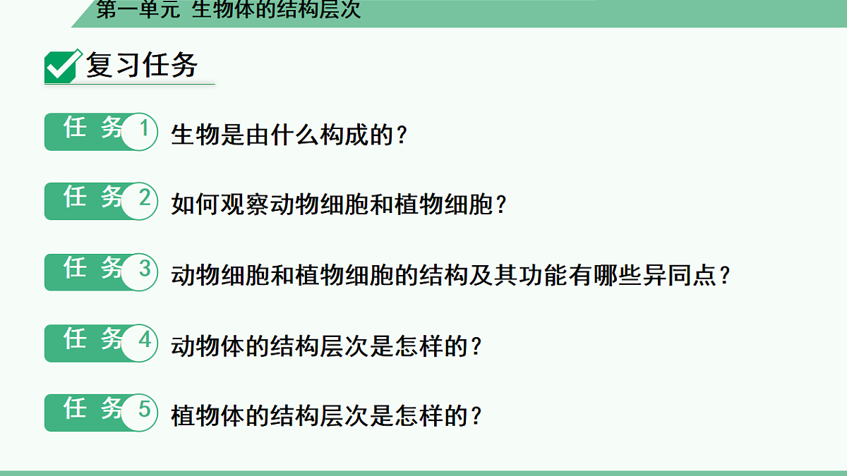 17561440第7页
