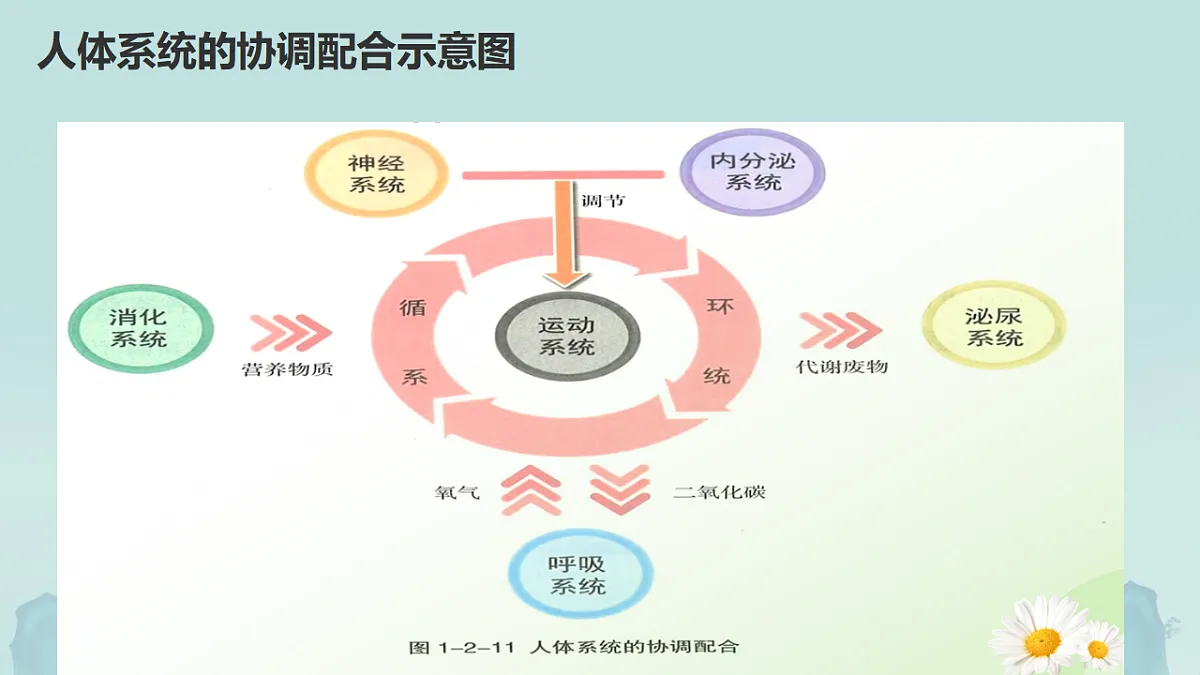 17561445第5页