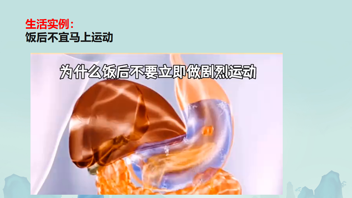 17561445第7页