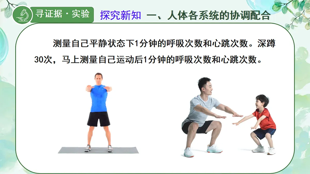 17561446第4页