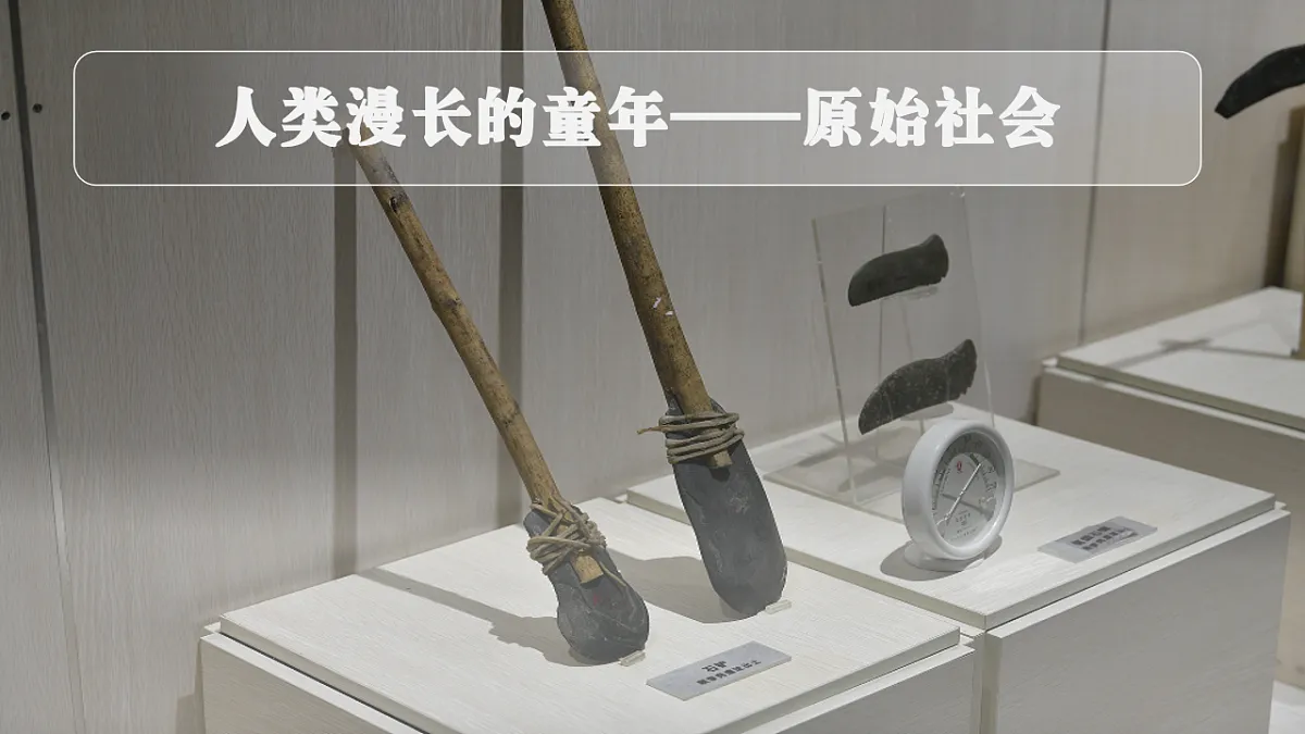 17562031第5页