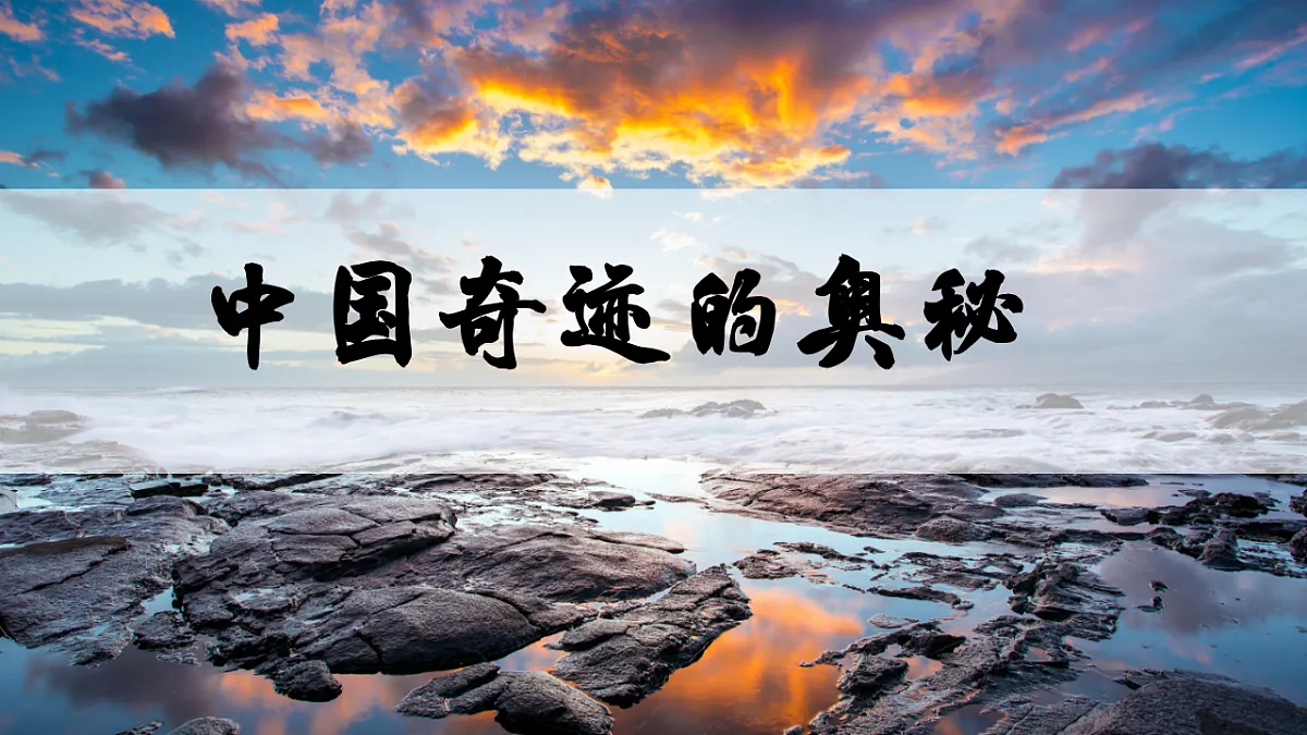 17562041第3页