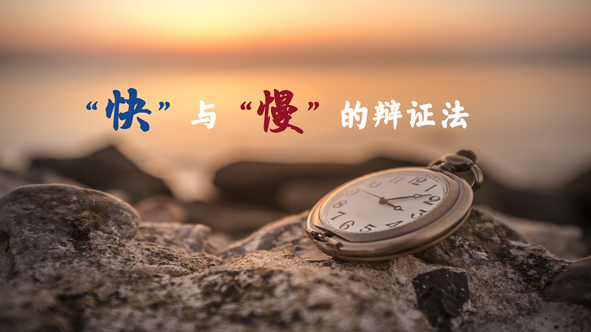 17562043第4页