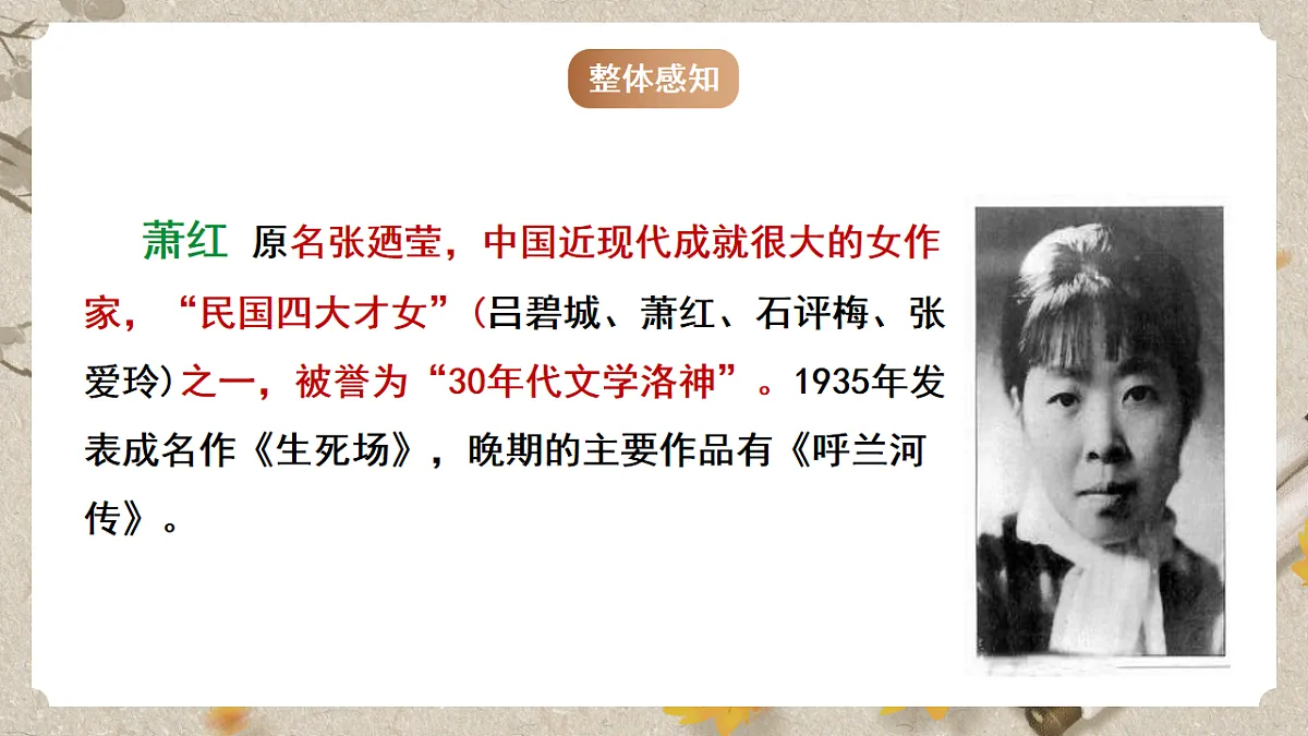 人教部编版语文九下1.3《短诗五首》之《萧红墓畔口占》课件第5页