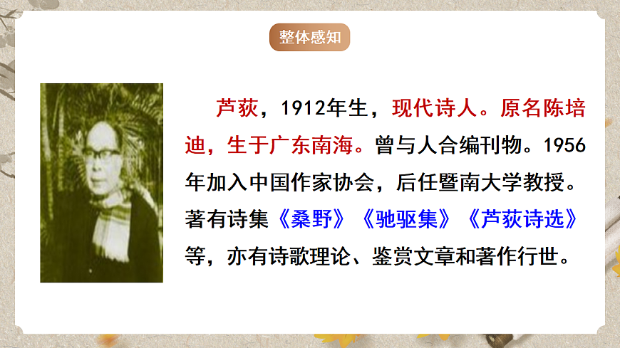 人教部编版语文九下1.3《短诗五首》之《风雨吟》课件第4页