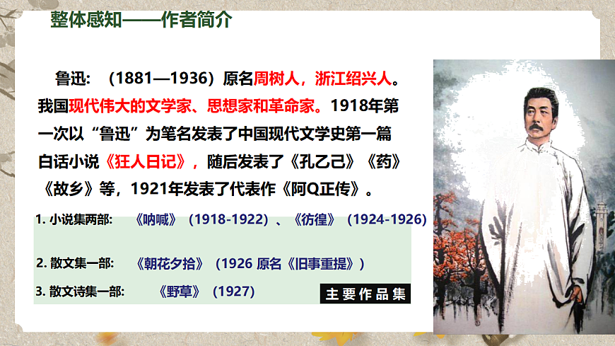 人教部编版语文九下2.5《孔乙己》课件第5页
