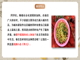 人教部编版语文九下5.19《枣儿》课件