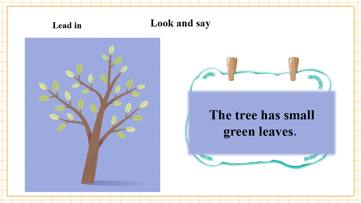 Unit 6 What's amazing about plants Period 2 Explore 课件（共60张）第4页