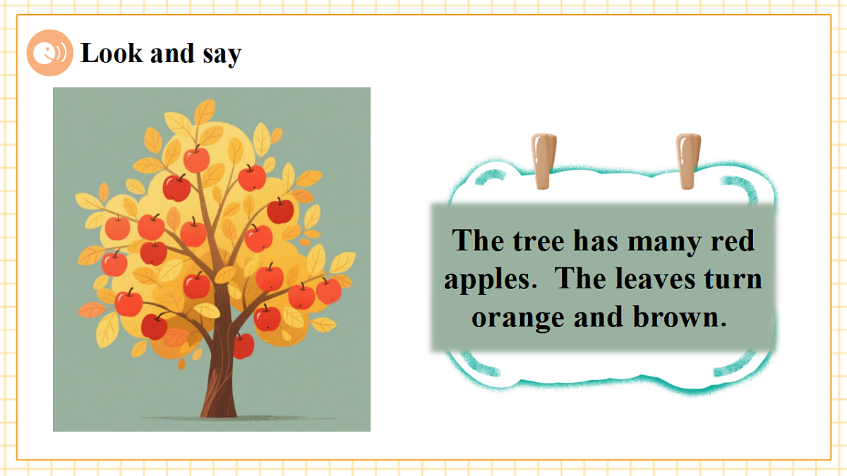 Unit 6 What's amazing about plants Period 2 Explore 课件（共60张）第6页