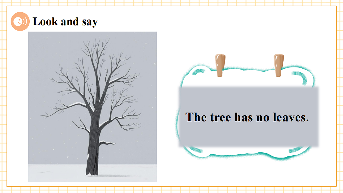 Unit 6 What's amazing about plants Period 2 Explore 课件（共60张）第7页