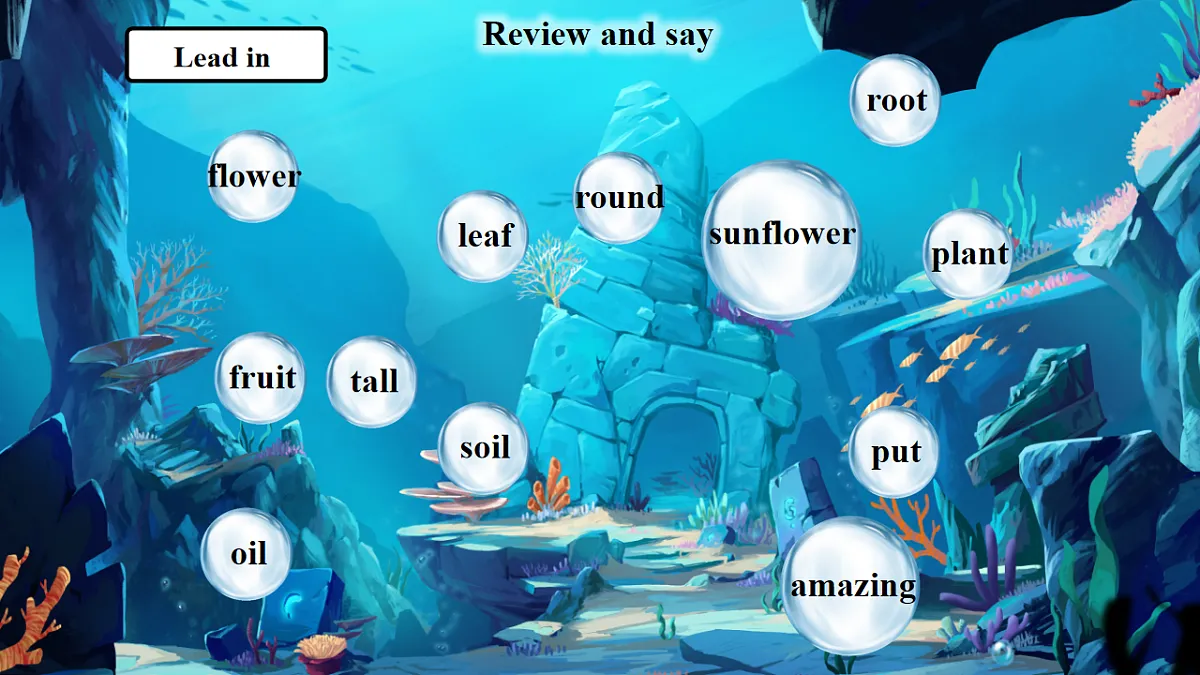 Unit 6 What's amazing about plants Period 3 Communicate 课件（共36张）第4页