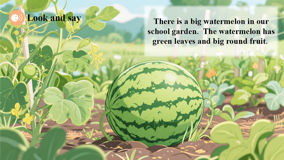 Unit 6 What's amazing about plants Period 4 Extend 课件（共34张）第6页