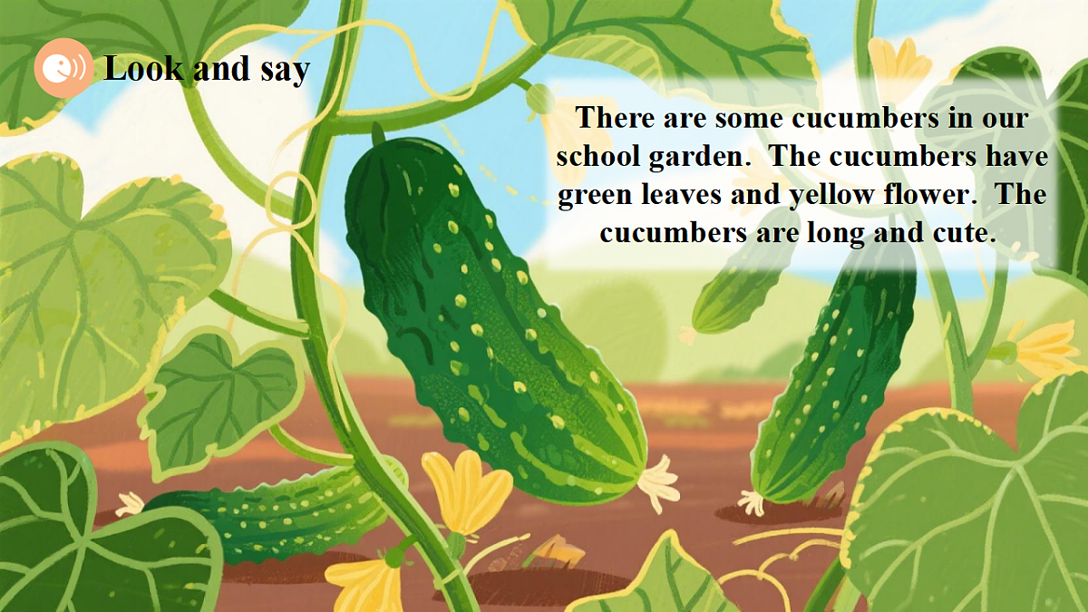 Unit 6 What's amazing about plants Period 4 Extend 课件（共34张）第7页