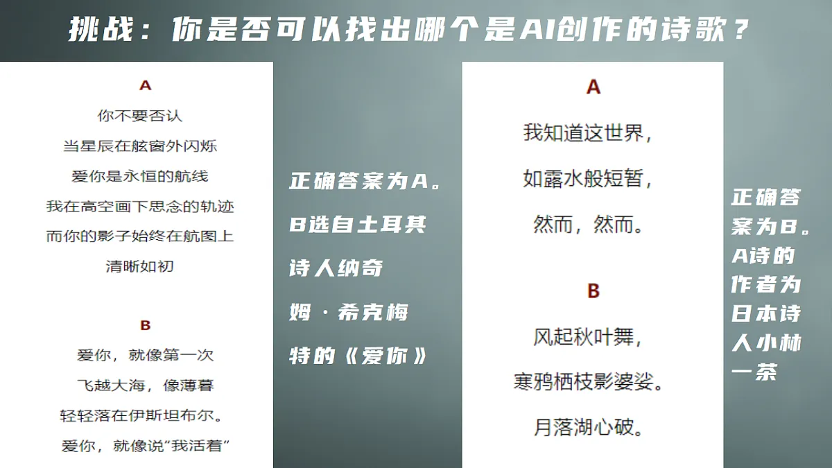 17565635第5页