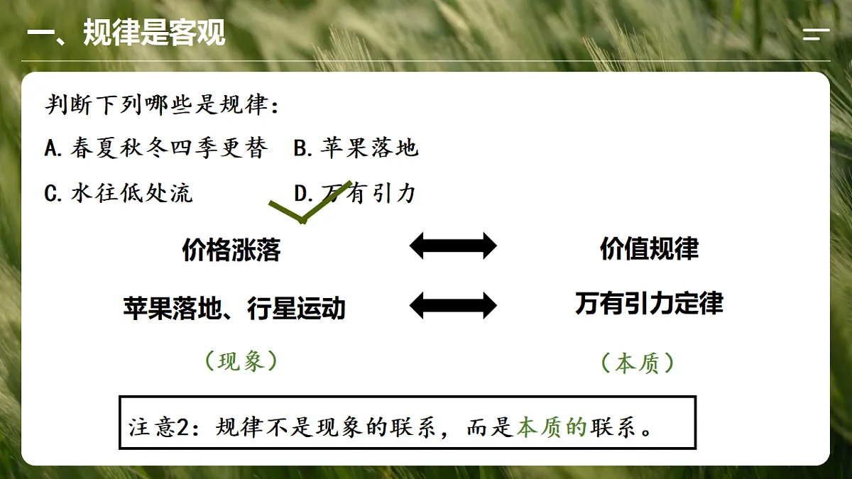 17565643第8页