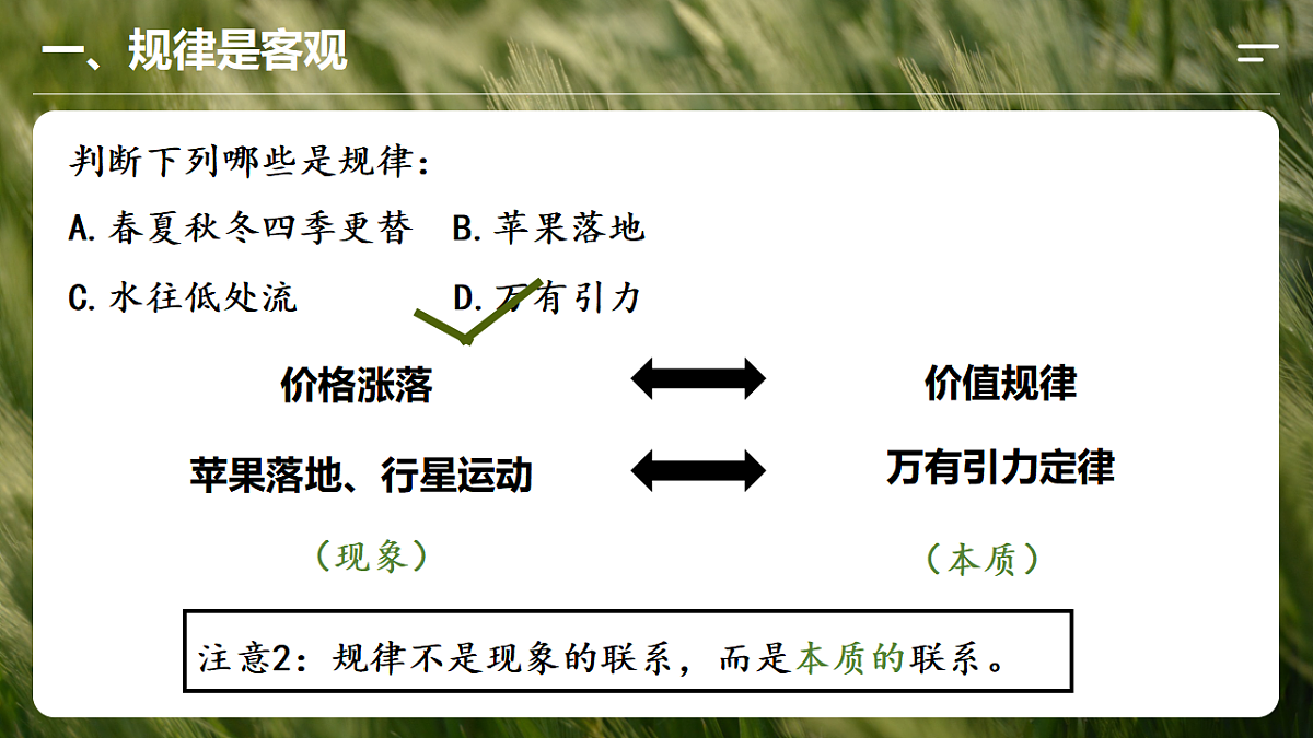 17565643第8页