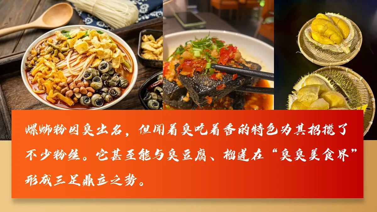 17565649第4页