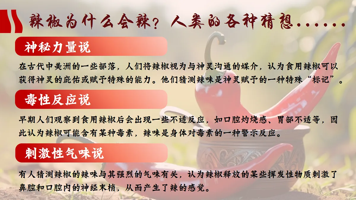 17565655第4页