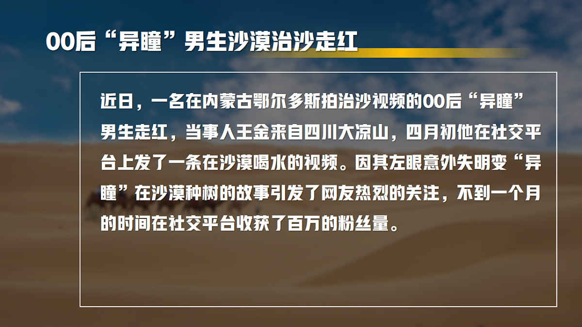 17565663第1页