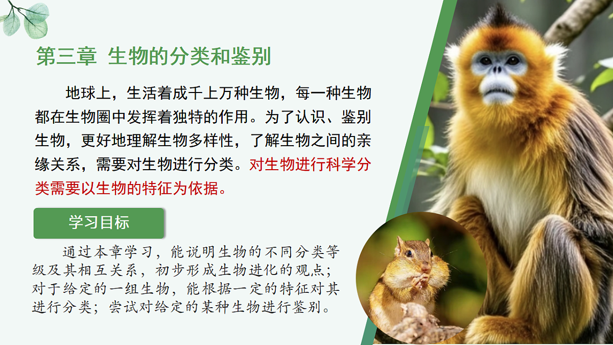 17565875第1页