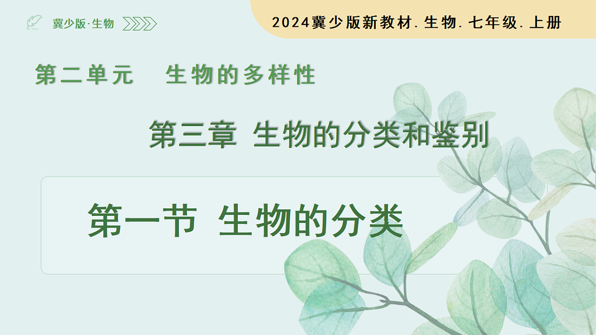 17565875第2页