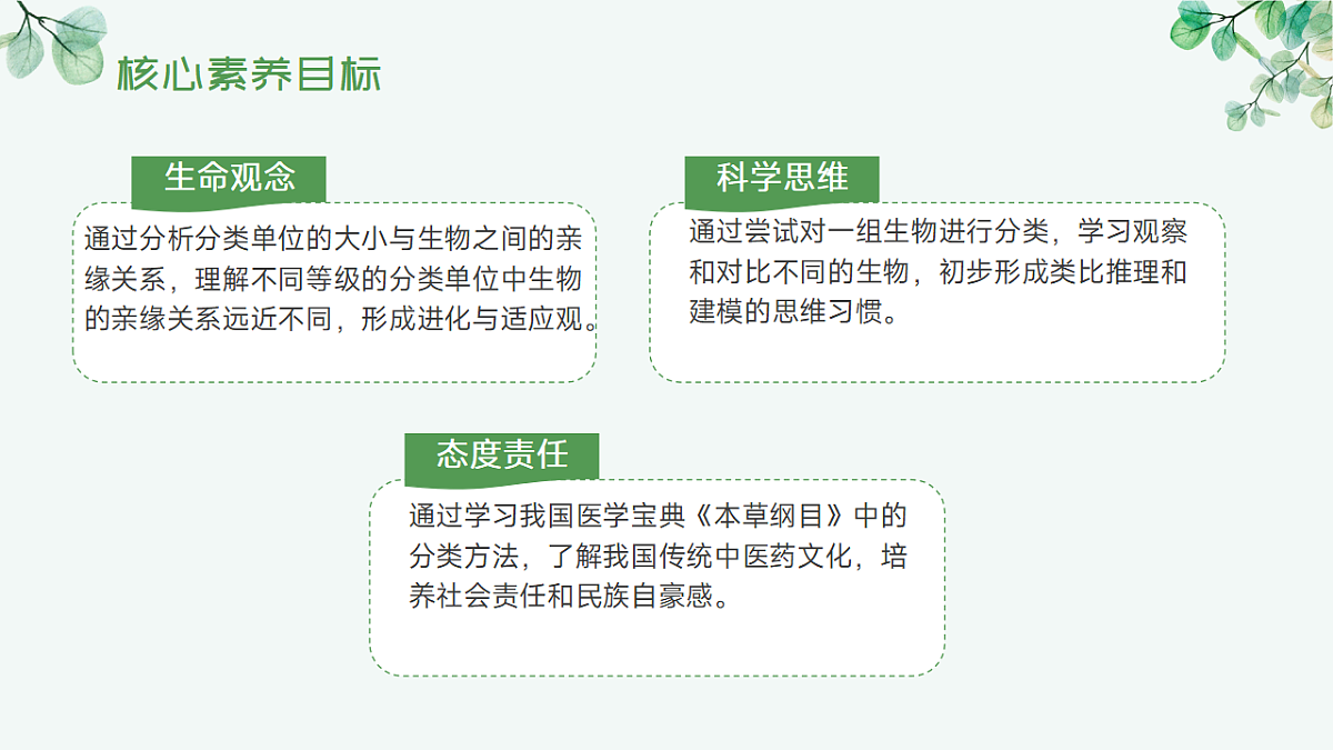 17565875第4页