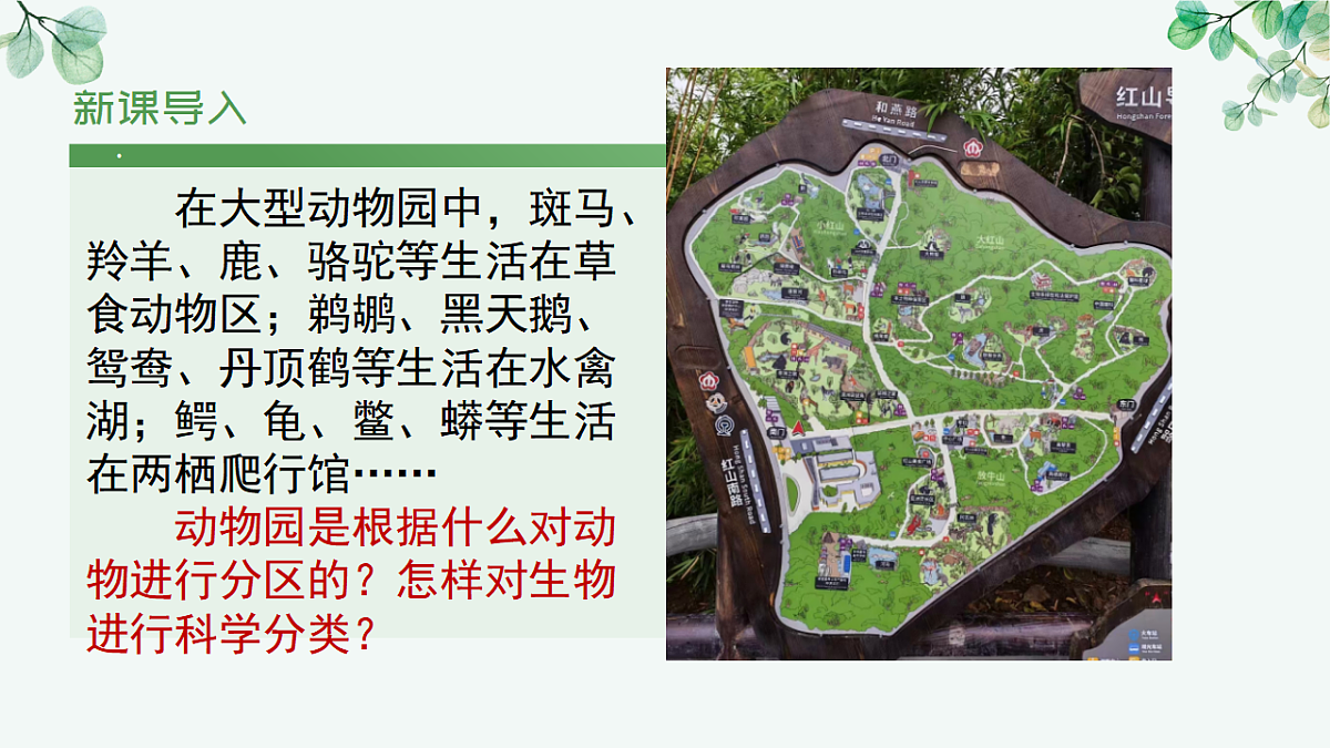 17565875第5页