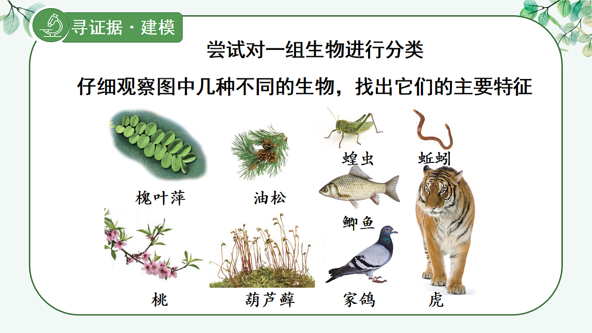 17565875第6页