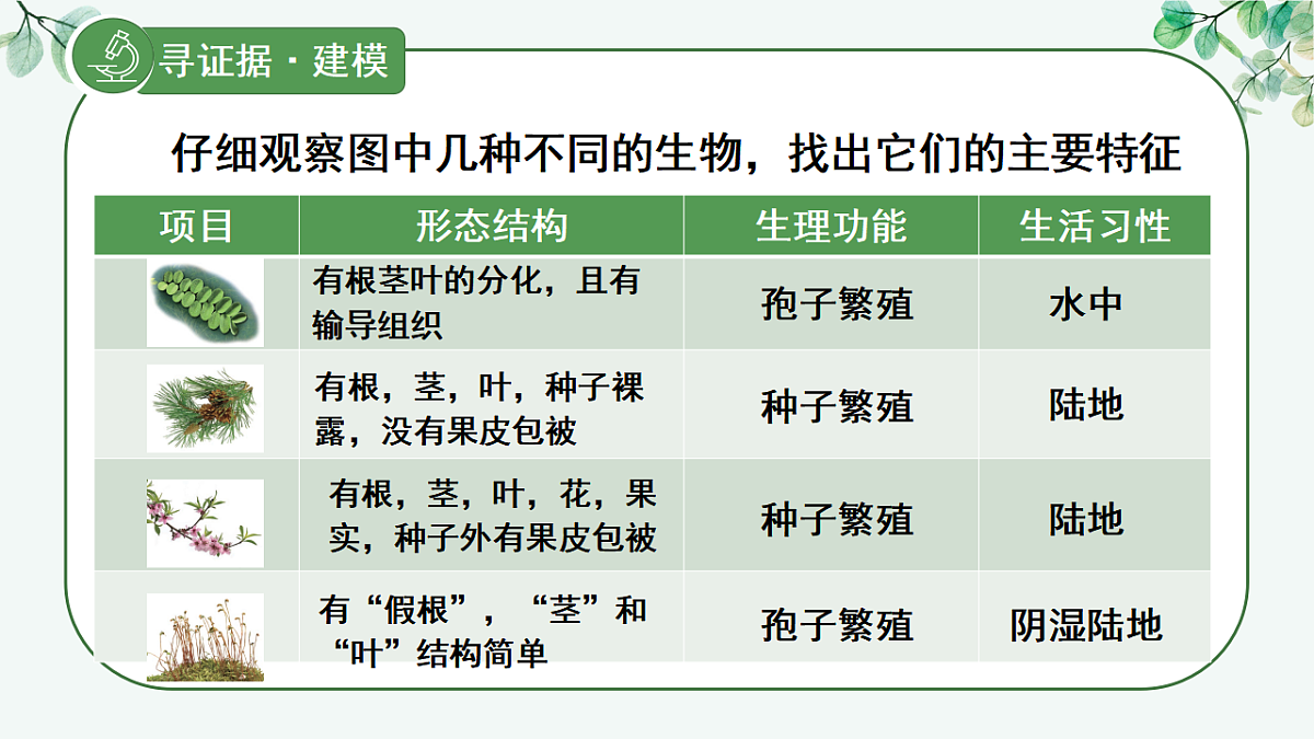 17565875第7页