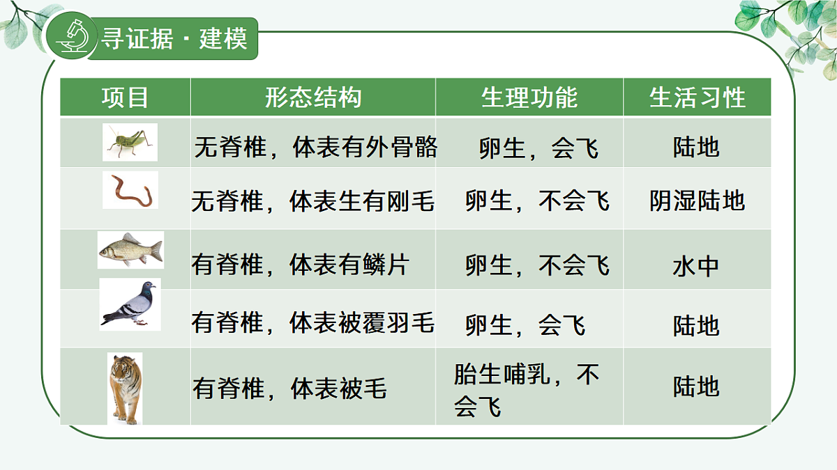 17565875第8页