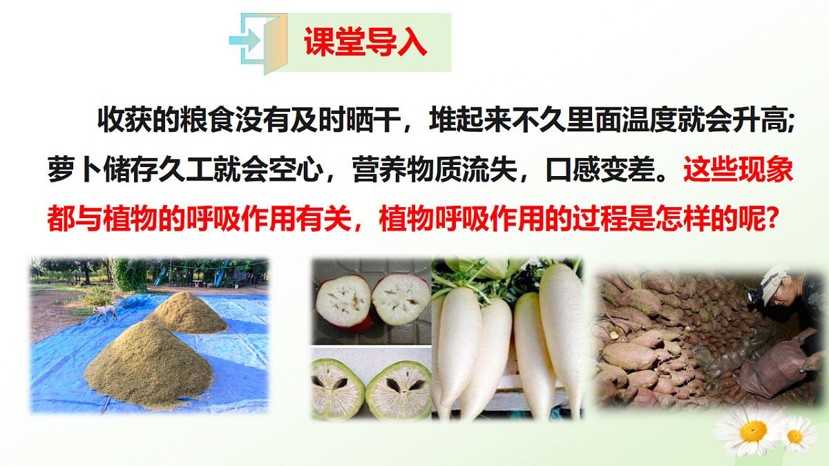 17565879第2页