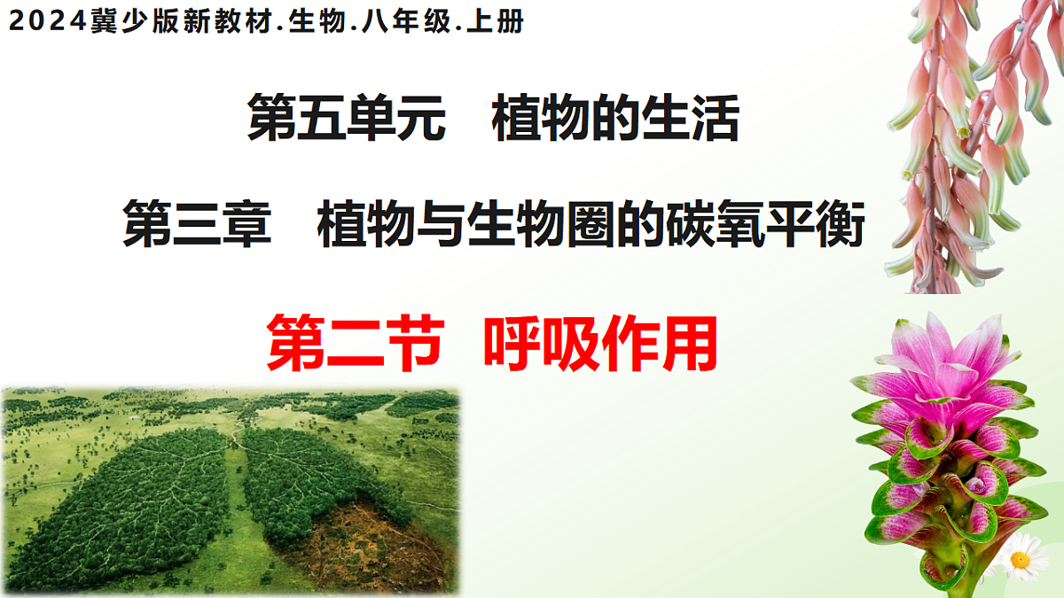 17565879第3页