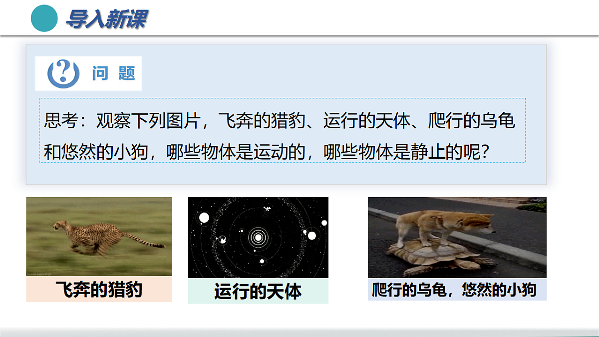 17565910第5页