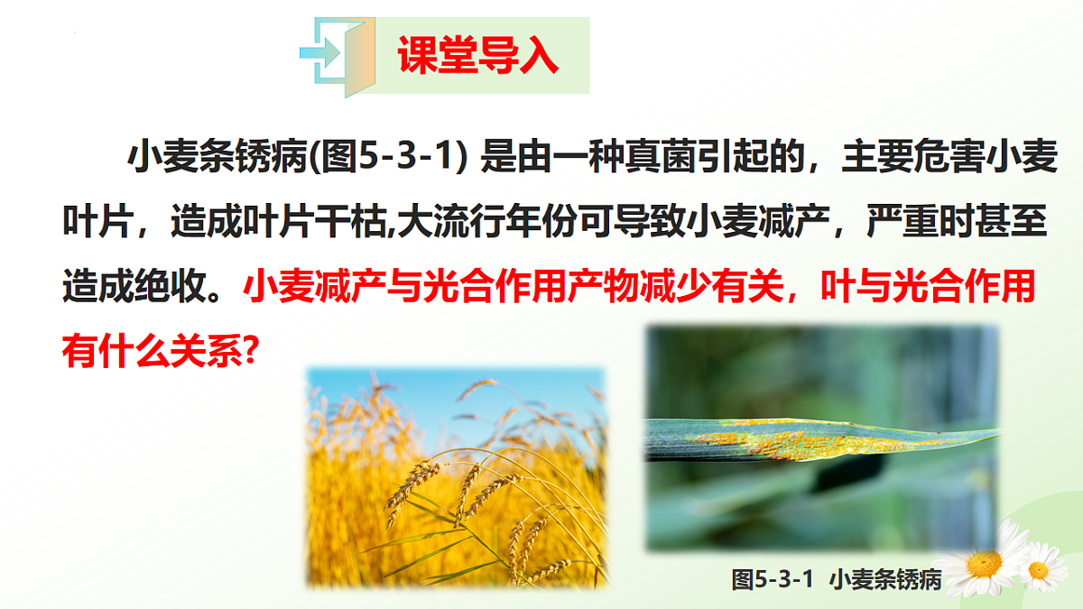 17565920第2页