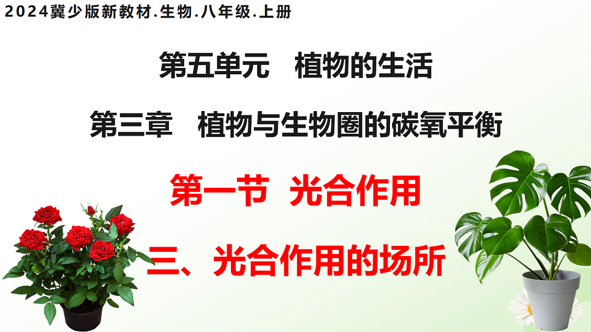 17565920第3页