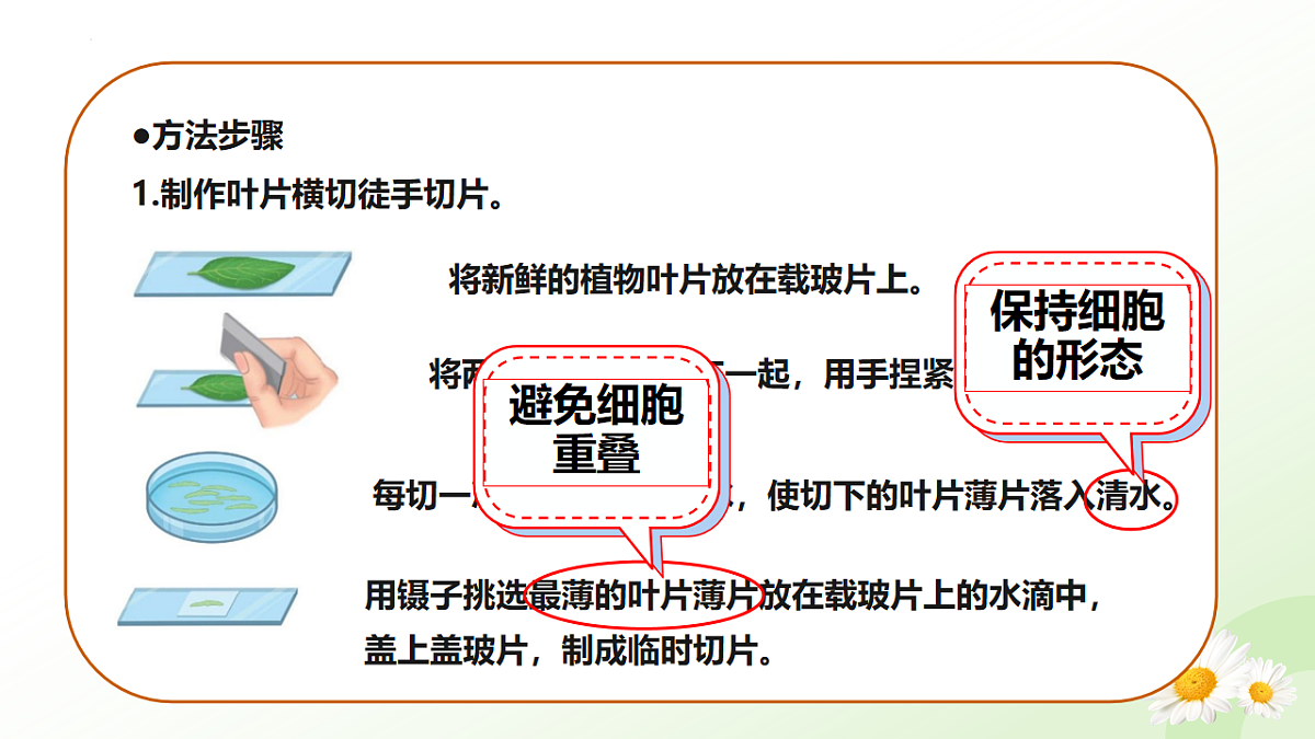 17565920第7页