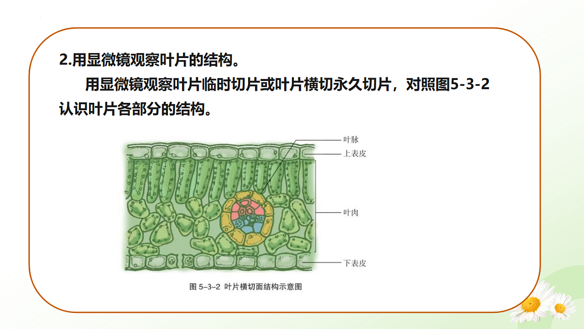 17565920第8页