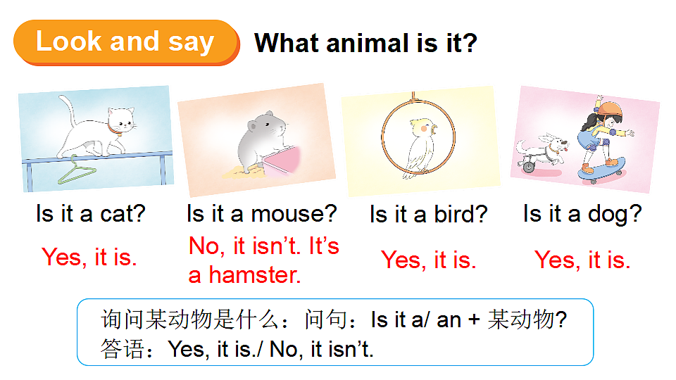 17565946第5页