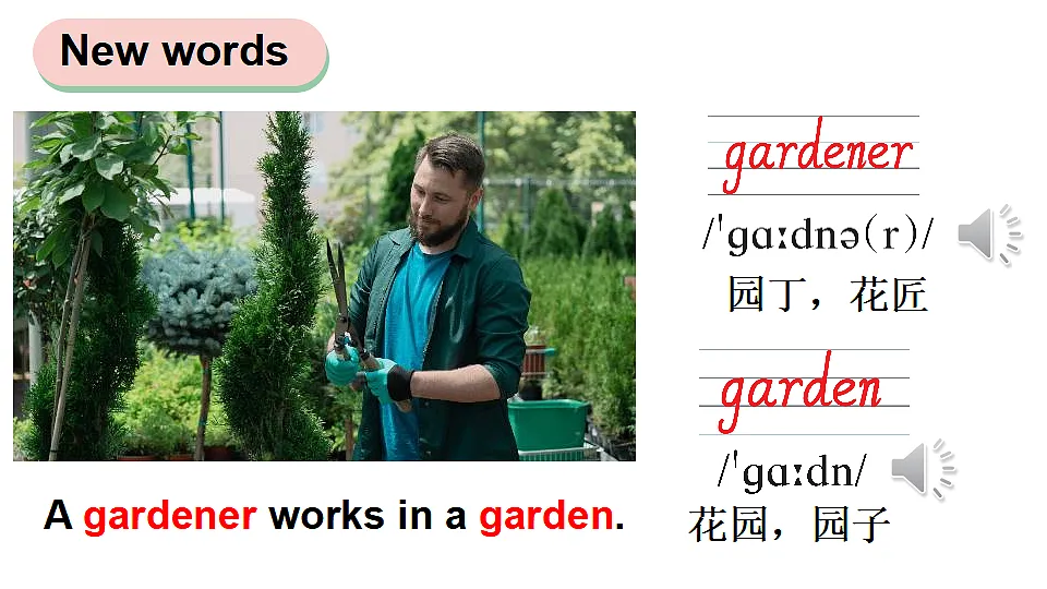 17565955第4页