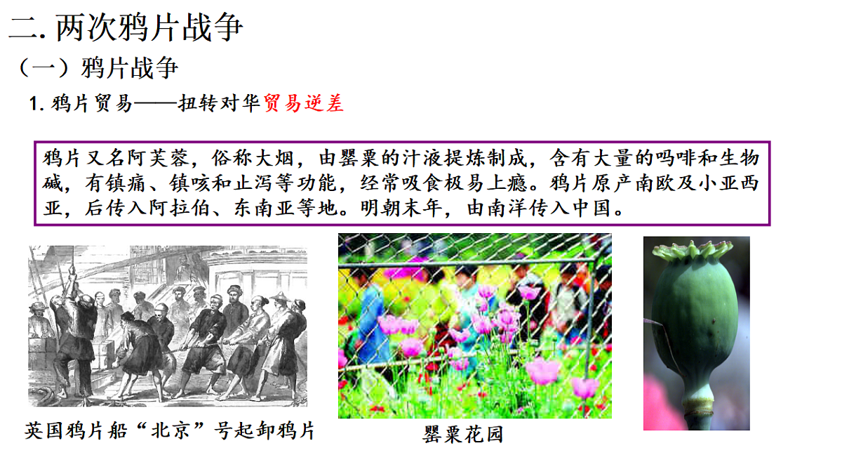 17566121第6页