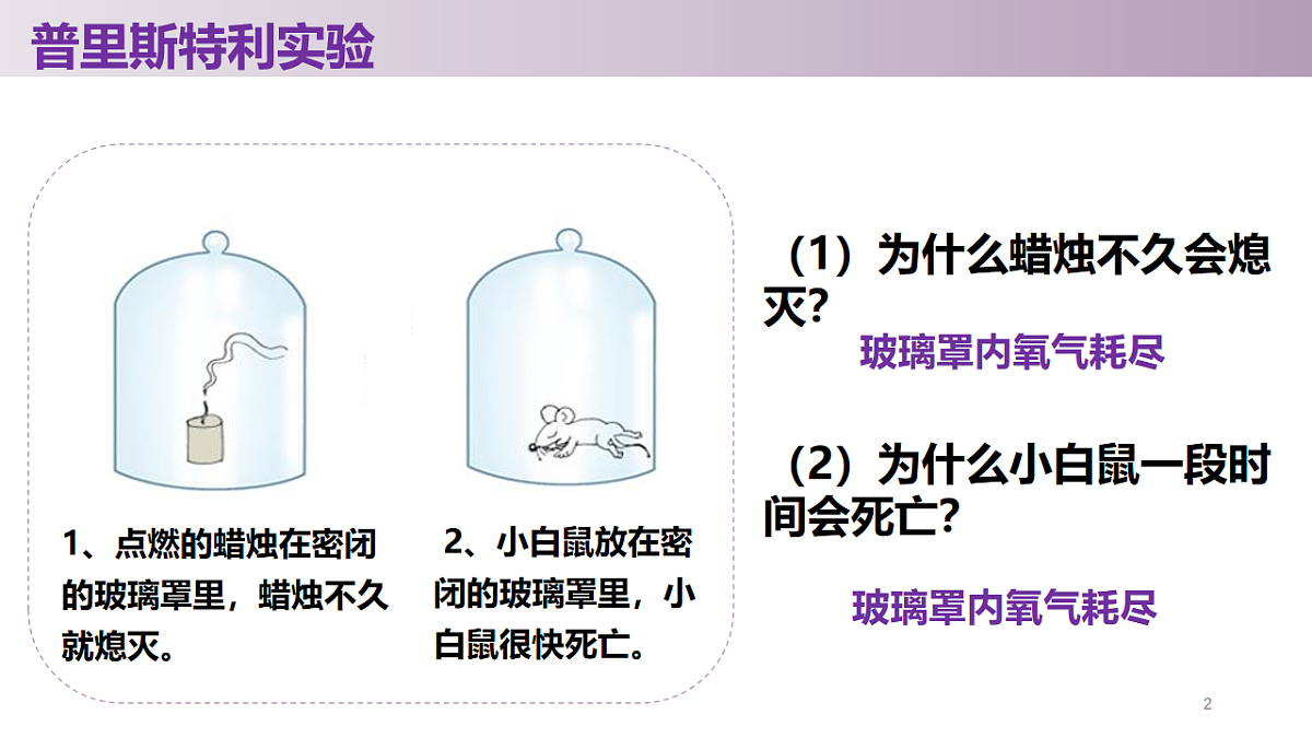 17566444第3页