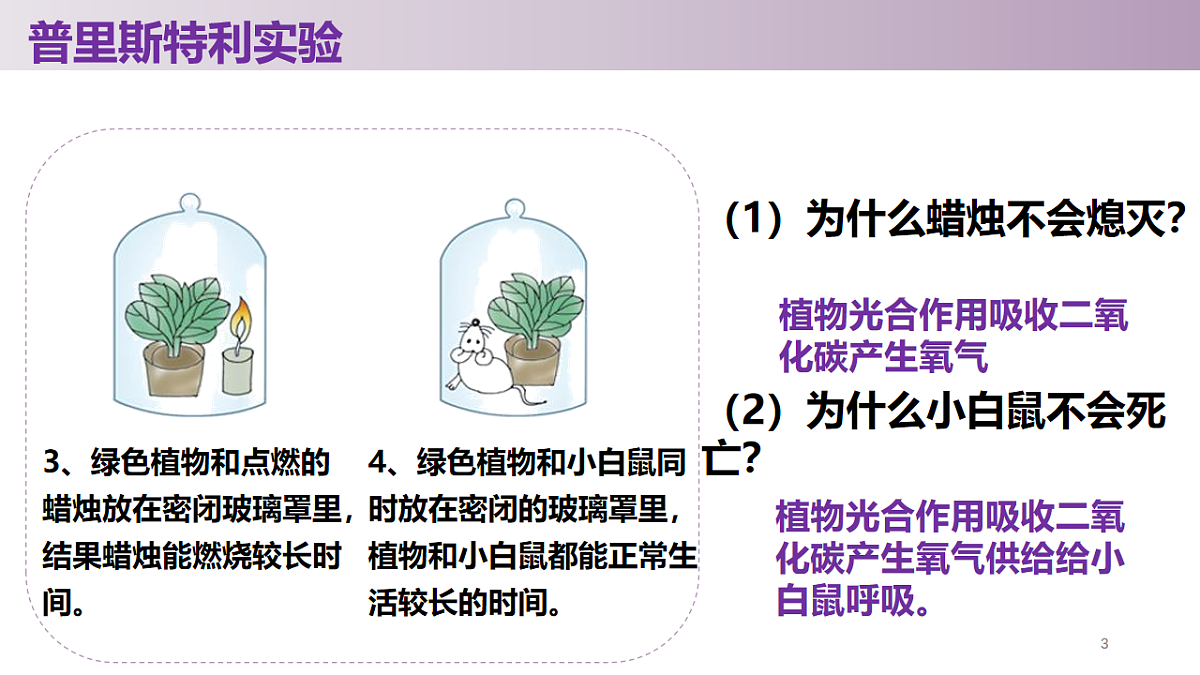 17566444第4页