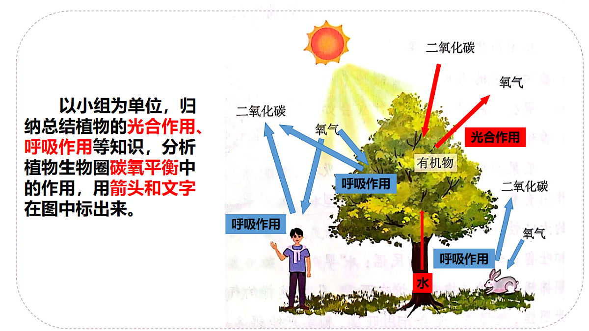 17566444第5页