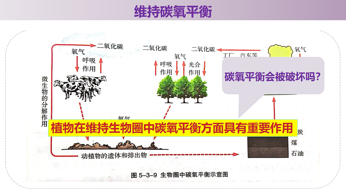 17566444第7页