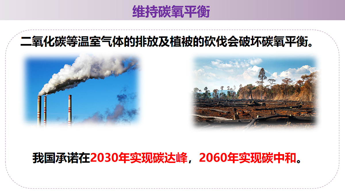17566444第8页