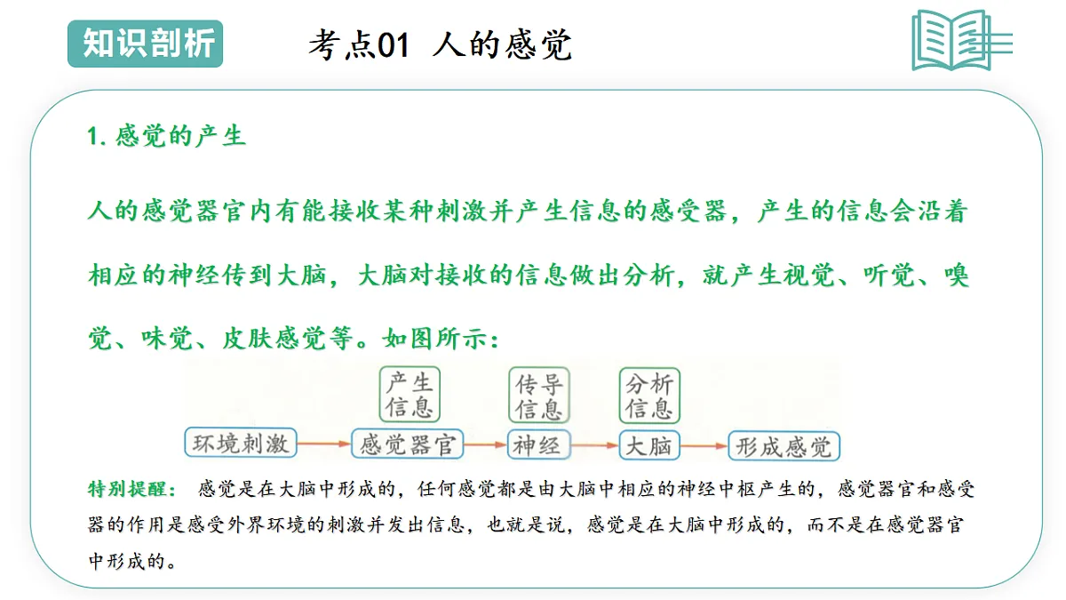 17566699第3页