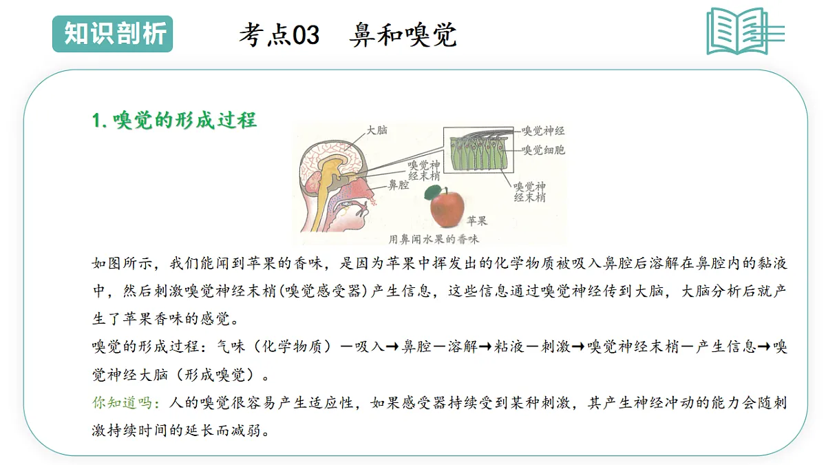 17566699第6页